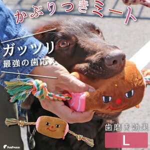 大型 犬 歯磨きの人気商品 通販 価格比較 価格 Com