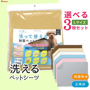 yGg[Ń|Cg5{mz[J[̐􂦂 ybgV[c { RꂵȂʋz݌v قȂnCeN@ RɃJbgۃybgV[cv~A2i5816jIׂ3L