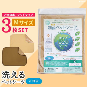 yGg[Ń|Cg5{mz   gCV[ggCV[c ybgV[c h  L 􂦂 { L  ی쌢 ps[Iׂ3MTCYZbg ʊ~߉