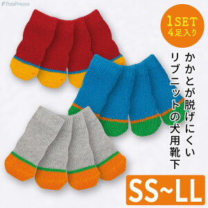 yGg[Ń|Cg5{mzp\bNX 4  \bNX C [\bNX p pC ̌C ~  h ی  h~ S V VjA p\bNX 