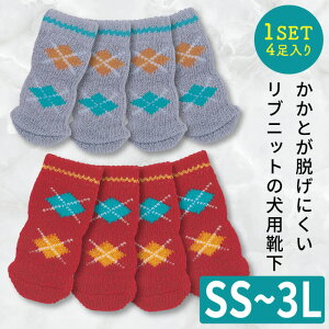 yGg[Ń|Cg5{mzp\bNX 4  \bNX C [\bNX p pC ̌C ~  h ی  h~ S V VjA p\bNX 