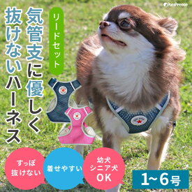 ポンポリース 犬用 抜けない 着脱簡単 セーフティーロック付 抗菌防臭加工 スーパーハーネス&リードセット メッシュ ドッグスター（1号〜6号）アクティブな子 気の弱い子 気管や頸椎の弱い子 パピーや老犬の介護用に