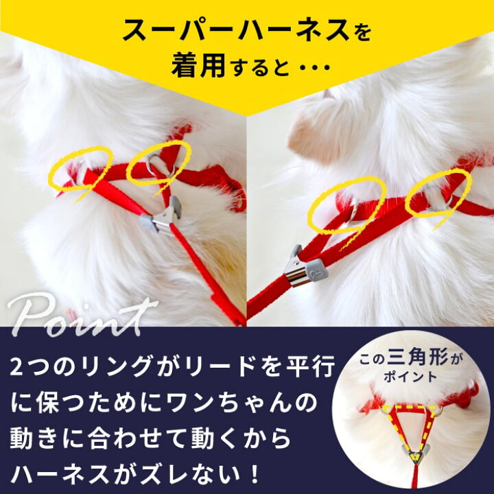 楽天市場 全商品ポイント5倍 おまけ 送料無料 ハーネス 小型犬 中型犬 ベルト 犬 リード 犬用 胴輪 犬 かわいい 安心 安全 国際特許 犬 用スーパーハーネス 胴輪 リードセット ボーダーニット 2号サイズ ポンポリース ポンポリース 楽天市場店 楽天市場 全商品ポイント5倍 おまけ 送料無料 ハーネス 小型犬 中型犬 ベルト 犬 リード 犬用 胴輪 犬 かわいい 安心 安全 国際特許 犬 用スーパーハーネス 胴輪 リードセット ボーダーニット 2号サイズ ポンポリース ポンポリース 楽天市場店