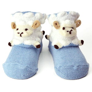 |vLY POP UP SOX |bvAbv\bNXuЂvKTCY 9`12cm oYj POMPKINS Ԃ xr[C 蕨