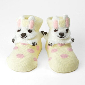 sS̓{ts[J[́t|vLY POP UP SOX |bvAbv\bNXuvKTCY 9`12cm oYj POMPKINS Ԃ xr[C 蕨