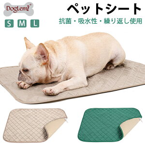 yzybgp}bg ybg}bg gCV[g ~ }bg d\ h  L ~  ^ ^ ?L p ۂƐ􂦂 JԂp\ GR R 