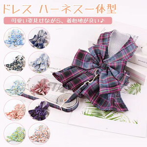 y20%N[|zyV5 L  Lp n[lX ˂ hXt lR Ck ybg xXg 킢 Ȃ _u ȒP  U o Lbg hbO bV XS S M L 