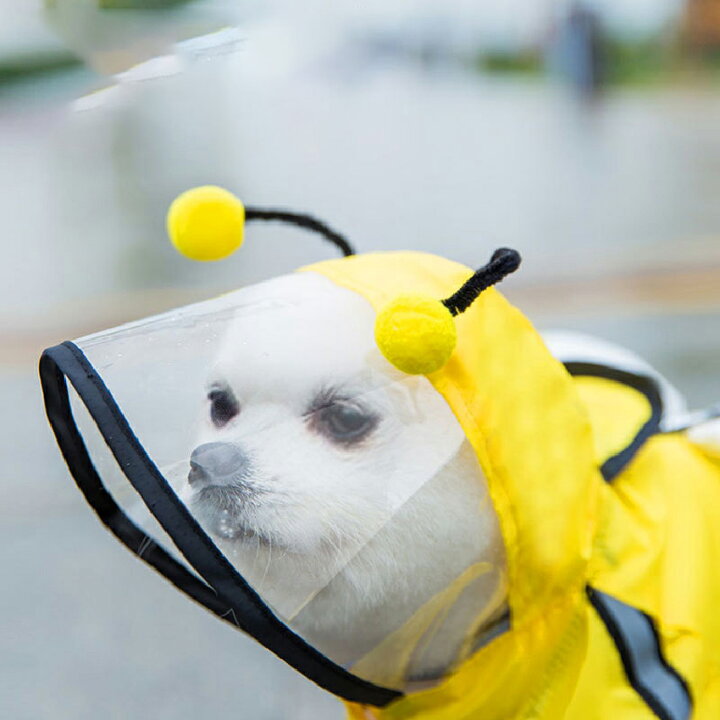 楽天市場 犬用レインコート 犬レインコート 犬カッパ ドッグウェア 散歩 雨用 ペット小型犬 中型犬 大型犬 着せやすい 犬のカッパ 犬服 犬の服 アウター長袖 カッパ 合羽 可愛い 蜂蜜 クマ 恐竜模様 Xs S M L Xl 2xl 3xl 4xl 5xl 6xl 7xl 送料無料