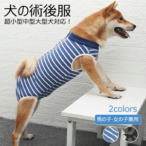 yz p㕞 ̎q j̎q p 畆ی앞@IX X D  B ` gCv[h  p㒅 pPA[ rߖh~ё΍ hۉ ^ ^ 