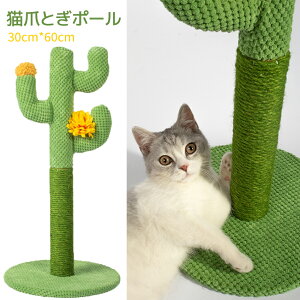 yzT{e`܂Ƃ|[ L ܂Ƃ L ܌ |[   ꊪ ˂ ߂Ƃ lR ܂Ƃ|[ 킢  ܌ ܂݂ Lbgc[ u L^