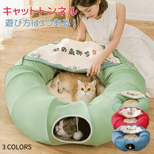 yzyV5 h[ic` S^ S L gl  ߋ lC Lbggl 2 ݂艺||t a27CM IV ܂肽ݎ LV XgXU ^s΍ 