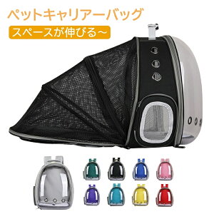 yzuXy[XLт?vL[obO bN g\ L wʊS ybg FD obNpbN  L bN ybgobO o U a@ ybgbN p 