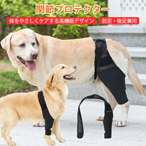 yzp ֐߃veN^[ G T|[^[ O㑫Ep yA Œ ݑPA nr  ybgpPApi ܎ V pi VjA I  r I V