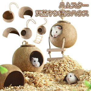 yznX^[nEX nbN RibcVF nbN nEX _ ybg nEX Vn bg ybgV VR nX^[p bgp K y