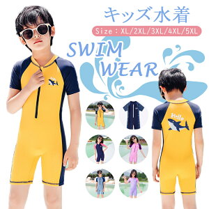 y20%N[|zj LbY ̎q j̎q  qp WjA bVK[h  XN[ LbY ̎q tBbglX Kp  XCEFA w UV΍ OJ