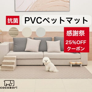 yӍՁ25OFFN[|zybg}bg  h ~ h~ L h 􂦂 t[O ybg }bg vC}bg hbO}bg ybgpi cocozari