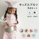 【撥水/防汚/シワ防止/抗菌】 エプロン 子供用 3点セット キッズ 三角巾 袋 撥水 収納バッグ 調理実習 クッキング 保…