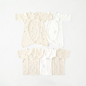 yyVLO1ʁz xr[ V 5g 100% Nf {^ Z Rr  oY Zbg   j̎q ̎q Ԃ xr[ V