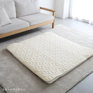 QԂ Q}bg + ~pbh Zbg h 120×120cm pC Ԃ xr[ OK Q vC }bg ~zc O rO