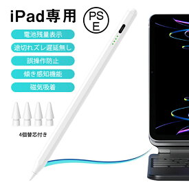 iPad タッチペン ipad専用 第10世代 残量表示 傾き感知 アイパッド ペンシル極細 スタイラスペン パームリジェクション 超高感度 イラスト