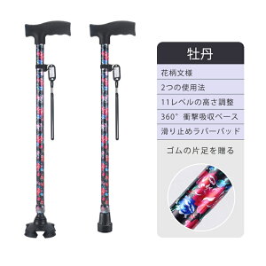   l_     y Lk s⏕ fB[X p hV̓ a Mtg XebL   l