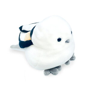 V}GiK ʂ ۂՂɃV}GiK kC yY