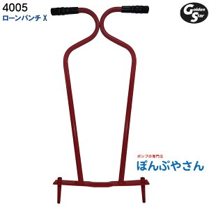 4005 [p`X S[fX^[ goldenstar GOLDENSTAR RA ||bg͕ʔ