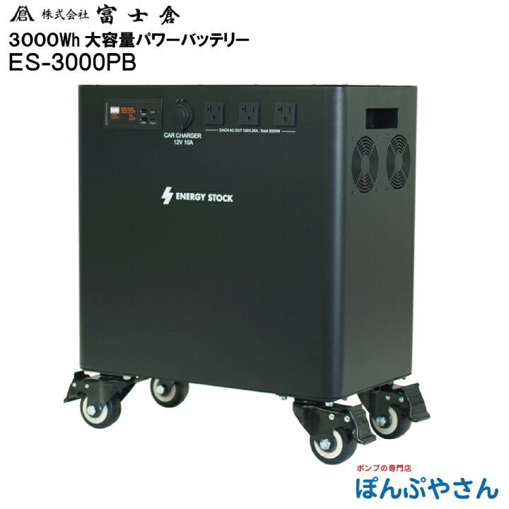 楽天市場】【メーカー直送品】【お得なクーポン配布中】ES-3000PB 