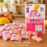 【120個入り】 UHA味覚糖 サプリぷっちょ ルテイン 約646g 60日分 マンゴー味 ソフトキャンディ ルテイン…