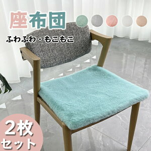 zc NbV V[gNbV `FANbV zcJo[ `FApbh ` 2Zbg ӂӂ  VM[ tFCNt@[ ֎qp p 45cm n Sn ̈U