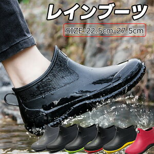 Cu[c Sh h JC o[u[c ₷ V[gCu[cfB[X Y l V[gu[c V[g ZC y ~J ʋ ʊw IV CV[Y O