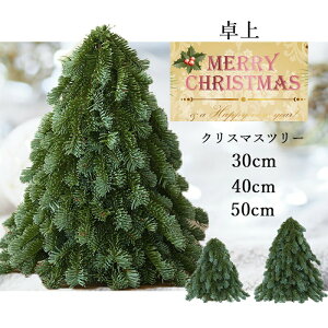 NX}Xc[  ~jc[  NX}Xc[  ~jNX}Xc[ 30cm 40cm 50cm e[uc[ k I[ig   fR[V NX}Xi`