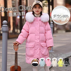 tFCNt@[ t[ht W_EWPbg _ER[g WPbg _EWPbg R[g _E WPbgEAE^[ O_ER[g q  ʊw LbY h H~ 