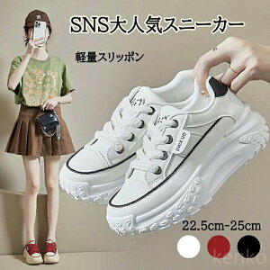 Xb| Xj[J[ V[Y O Xj[J[  X|[cV[Y i[XV[Y Xj[J[N[i[ Xj[J[u[c Xb| C ϖ y y ʋ Y