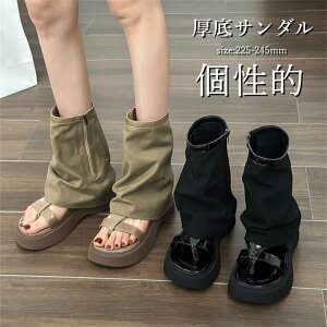 T_ fB[X fj V[Y C T}[u[c u[cT_   JWA  OfBG[^[T_  I ؍ 傫TCY ĕ