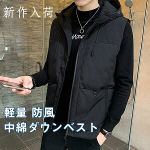 ȃ_ExXg WPbg Y `bL St h H~ Ȃ  W Ci[ y h  ۉ AEghA oR