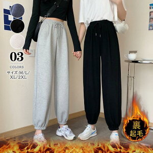 WK[pc fB[X W[Wpc N {A EGXgS nXEFbg  g[jO jO X|[c  ^ H~