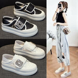 Xj[J[ fB[X  bV Xj[J[   5cmAbv  t  H tbg EH[LOV[Y tbgV[Y V[Y C y ʋC ~ ₷ 