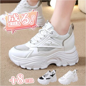 _bhXj[J[  fB[X ʔ Xj[J[ Xj[J[ _bhV[Y [JbgXj[J[ V[Y C C V[Y {[\[ ₷ y y r 