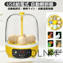 楽天市場】孵卵器リトルママの通販