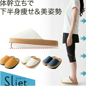 ＼全国送料無料／体幹を整えるスリッパ Sliet(スリエット) 体幹トレーニング スリッパ 体幹 エクササイズ レディース 健康スリッパ 室内