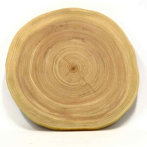 yOzN VRꖇ ܂ȔAv[g قڂꂢAB