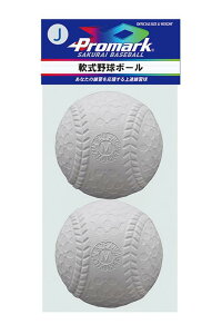 TNCf (SAKURAI) v}[N  K J(wp) 2 LB-300J
