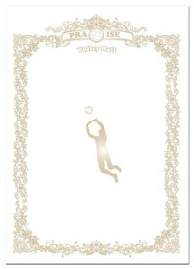 UNIX(jbNX) X|[cڕʏ܏p o[{[ FD13-85