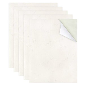 ��q ��C�V�[�� �a�� �V�[�� A4�T�C�Y 5������ �C���N�W�F�b�g�v�����g�Ή� �a�� �X�e�b�J�[ ���x�� ��� ���炫��Ղ�Ղ��