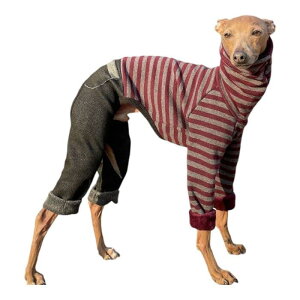 D DOGGY STAR �C�^�O���� �N�уX�g���C�v�f�j�� �����p�[�X �Ȃ� ���^�� ���^�� ��^�� �t �H �~�� �x�h�����g���e���A�� �E�B�y�b�g��