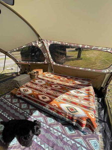 Peel Forest eg Ci[V[g,}`Jo[,LVJO,lCeBu IeK,LvO,AEghA oCt