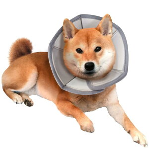 SKATT WORKS GUxXJ[  L p rߖh~ ی y 炩 \tg