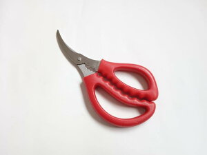  G؂oT~  ؂ CJb^[ nT~ Y ߋ J  \  ނ tBbVO AEghA G؂ PEC iCC tJ[{ ނ bN