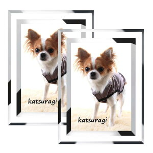 �t�H�g�t���[�� L �ʐ^���� L�� ������� 2�� ��� ���r���O �v���[���g �j�� �C���e���A